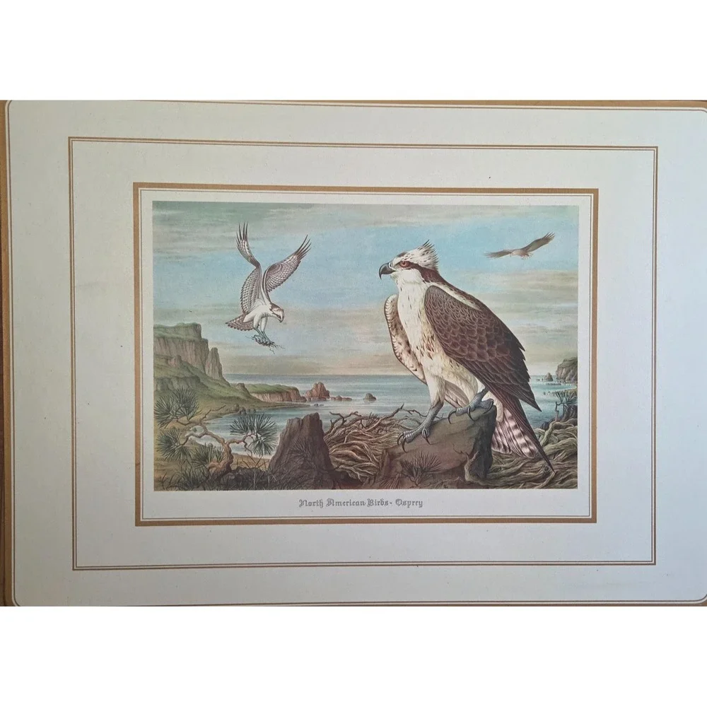 Vintage English Life Place Mats(4) Schmid Brothers-North American Birds of Prey
